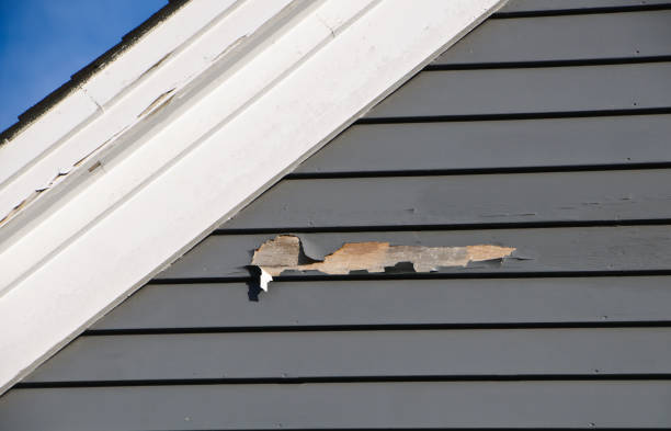 Best Stone Veneer Siding  in Bertville, AL