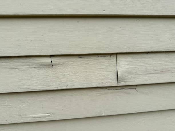 Best Stucco Siding  in Bertville, AL